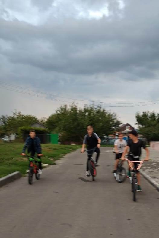 День трезвости