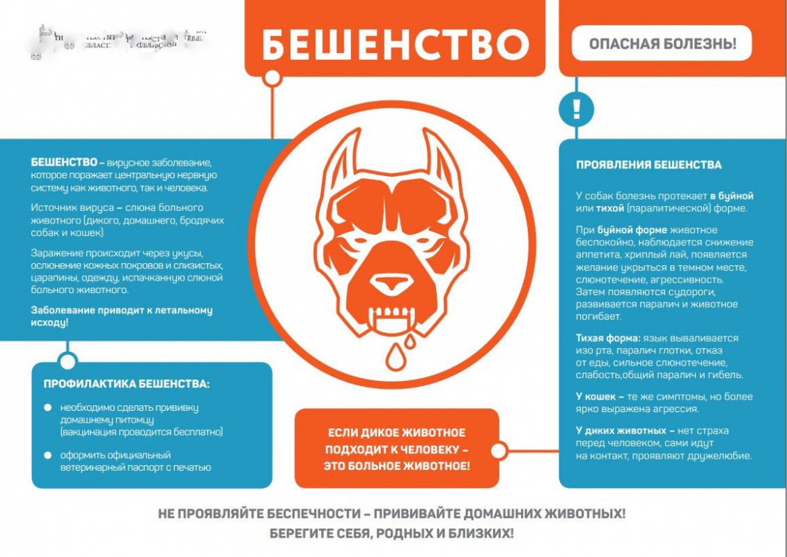 Бешенство животных....