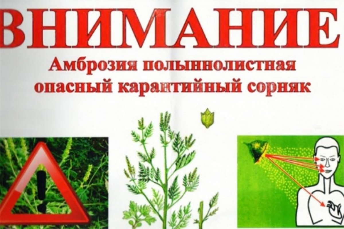 ВАЖНАЯ ИНФОРМАЦИЯ!