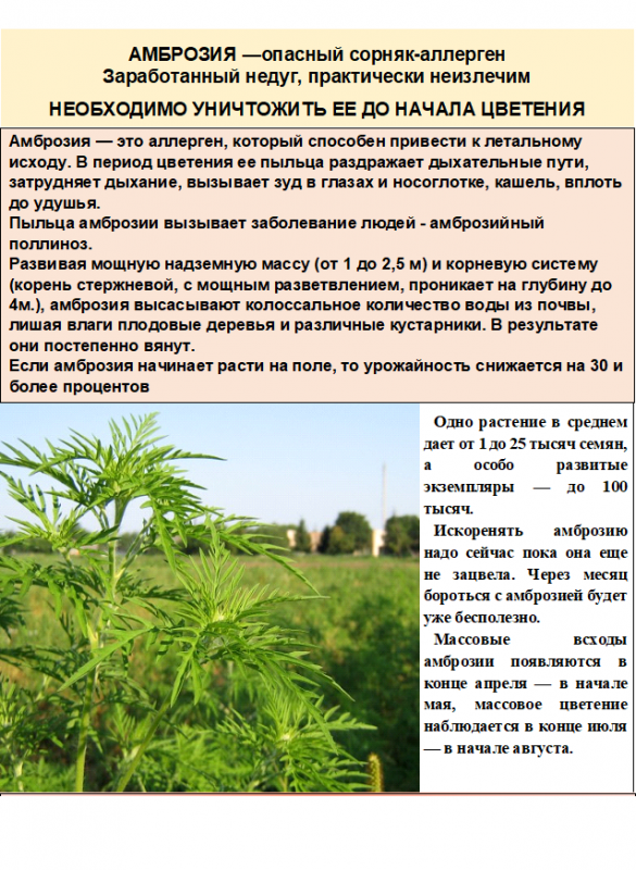 ВАЖНАЯ ИНФОРМАЦИЯ