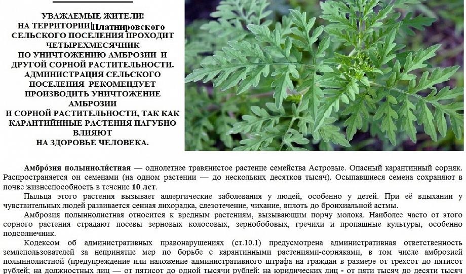 ВАЖНАЯ ИНФОРМАЦИЯ!