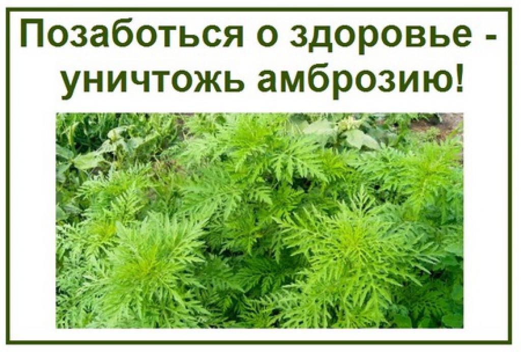 ВАЖНАЯ ИНФОРМАЦИЯ!