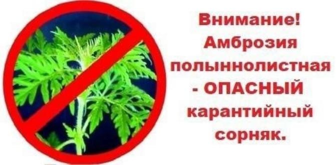 ВАЖНАЯ ИНФОРМАЦИЯ!