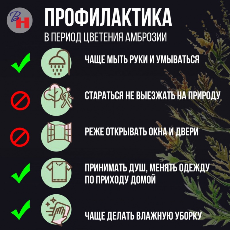 ПРОФИЛАКТИКА В ПЕРИОД ЦВЕТЕНИЯ АМБРОЗИИ!